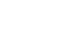 BrandVolution Logo